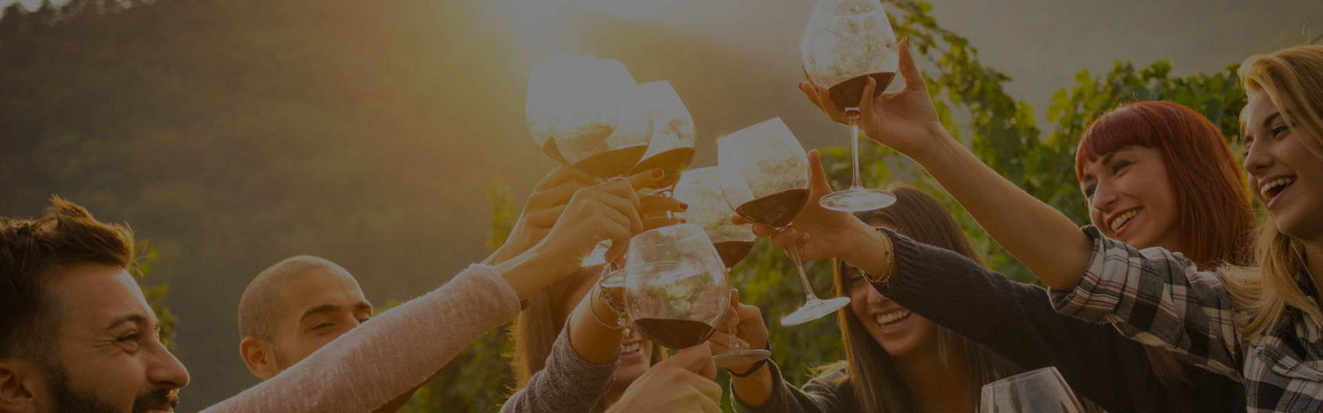 slide-amigos-vino50 guía de vinos italianos